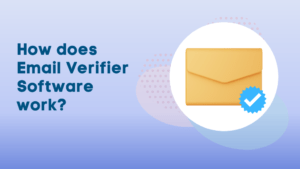 How does Email Verifier Software work?