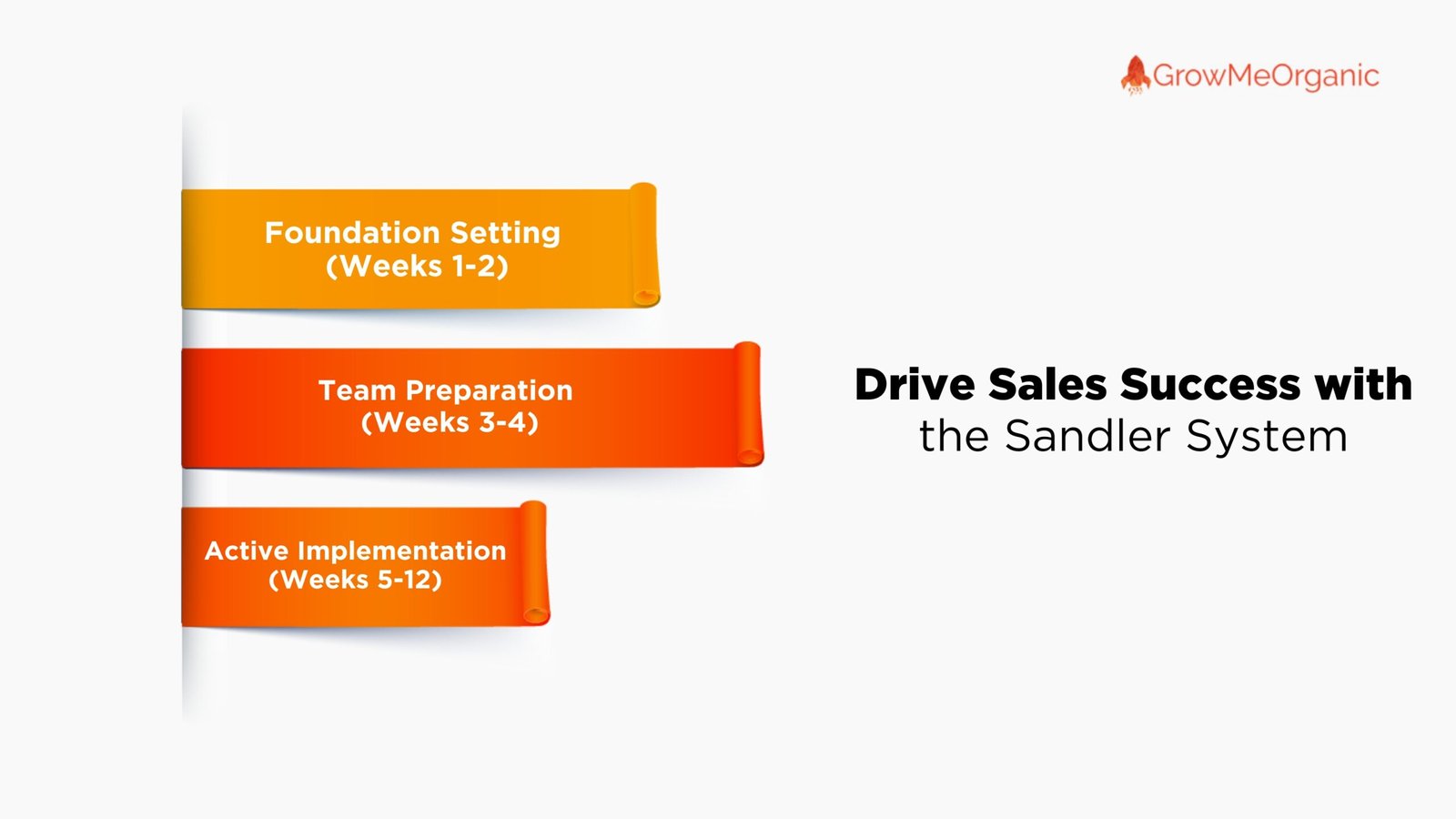Sandler Selling System - Drive Sales Sucess
