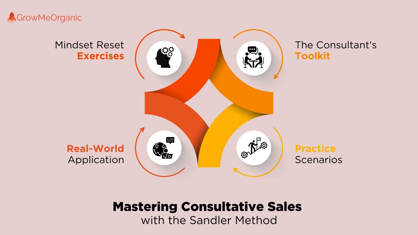 Sandler Selling System - Mastering Consultative Sales