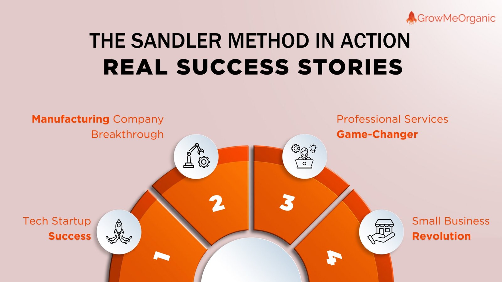 Sandler Selling System - Real Success Stories